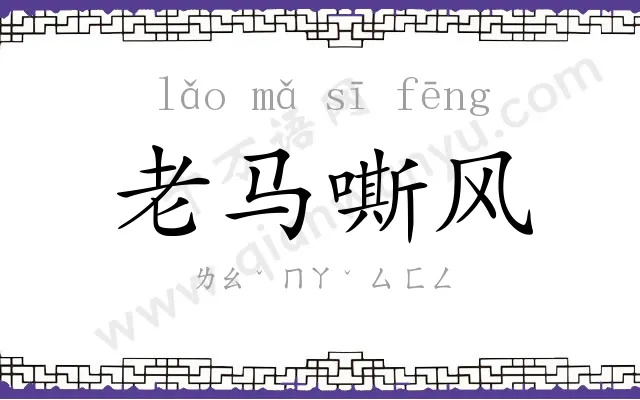 老马嘶风 老马嘶风