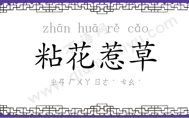 粘花惹草 粘花惹草