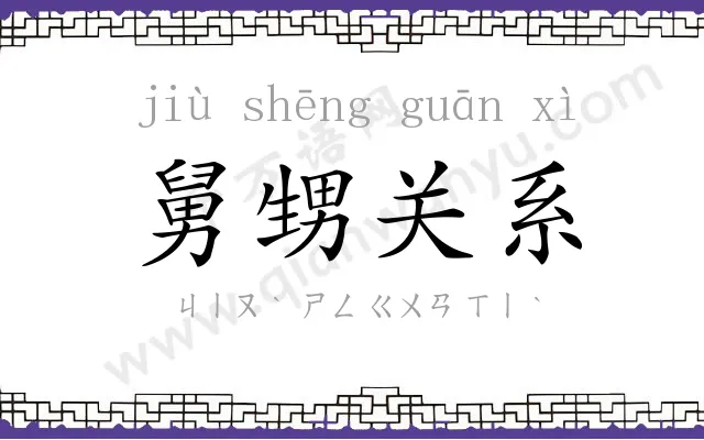 舅甥关系 舅甥关系