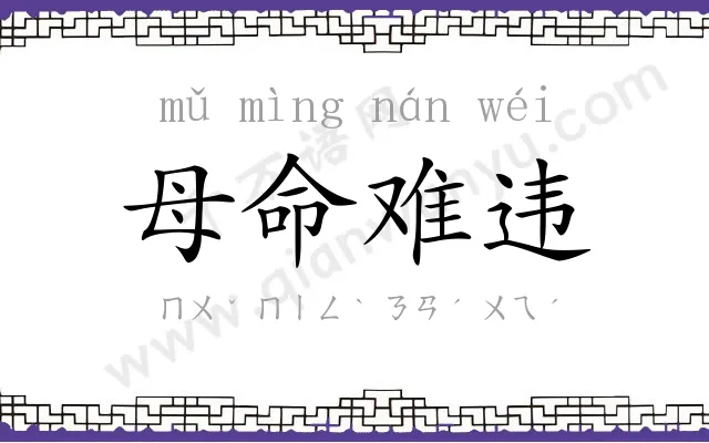 母命难违 母命难违