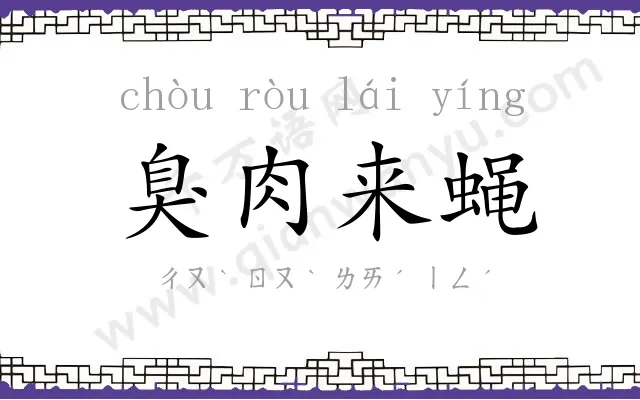 臭肉来蝇 臭肉来蝇