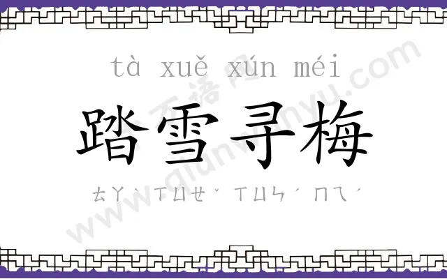 踏雪寻梅 踏雪寻梅