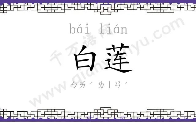 白莲 白莲