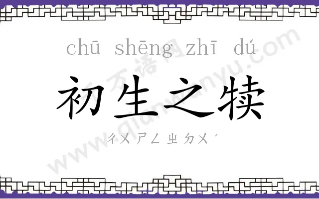 初生之犊 初生之犊