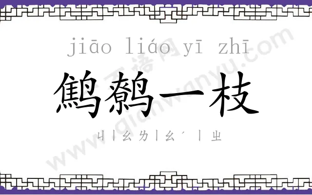 鹪鹩一枝 鹪鹩一枝