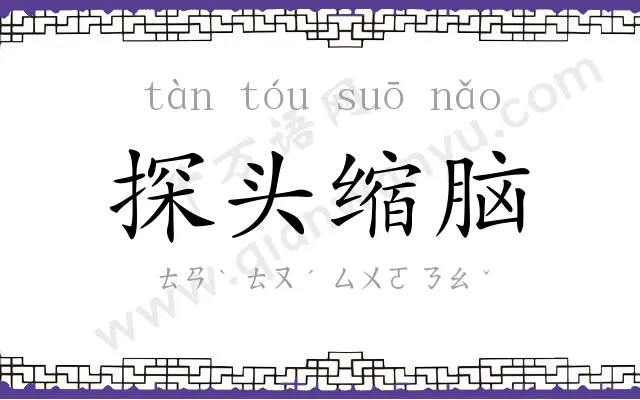 探头缩脑 探头缩脑