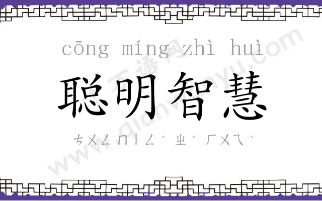 聪明智慧 聪明智慧