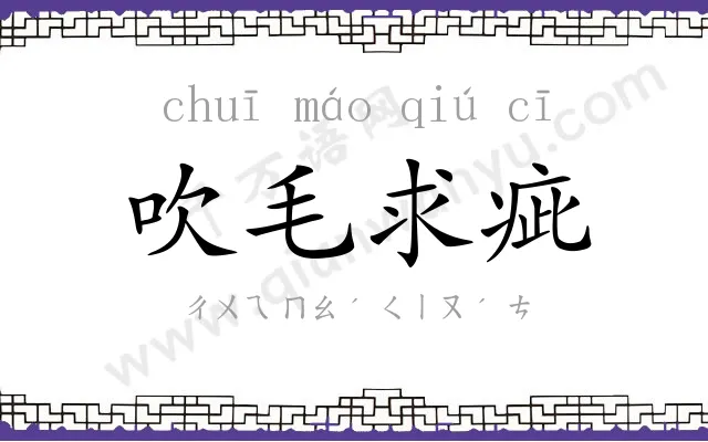 吹毛求疵 吹毛求疵