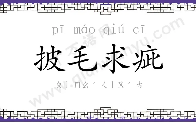 披毛求疵 披毛求疵