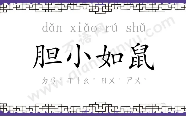 胆小如鼠 胆小如鼠