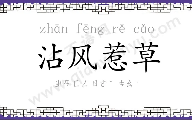 沾风惹草 沾风惹草