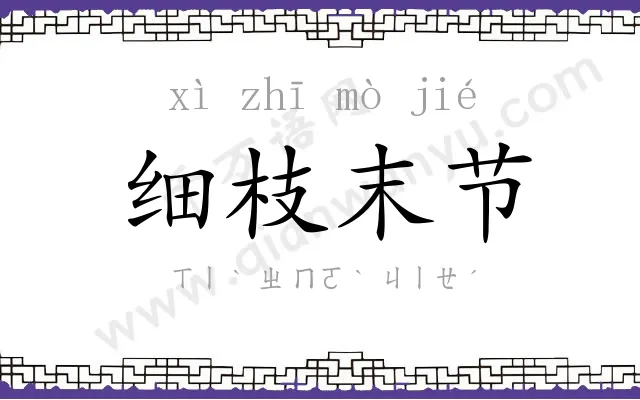 细枝末节 细枝末节