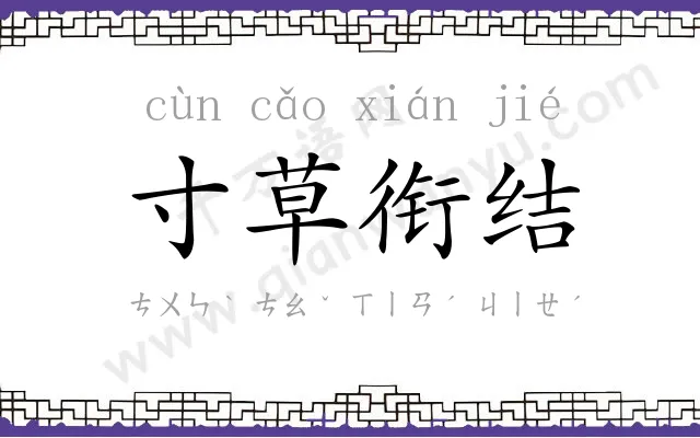 寸草衔结 寸草衔结