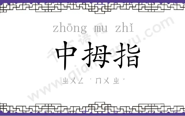 中拇指 中拇指