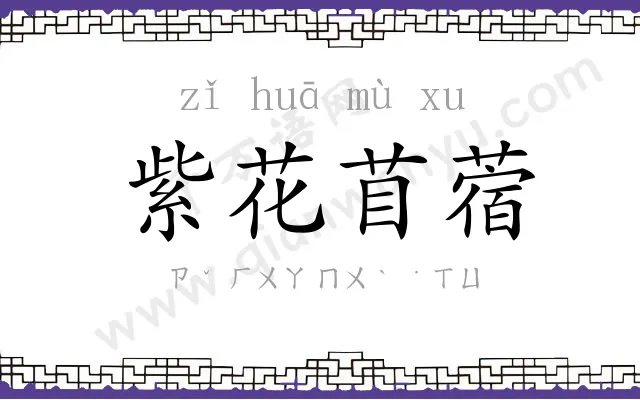 紫花苜蓿 紫花苜蓿