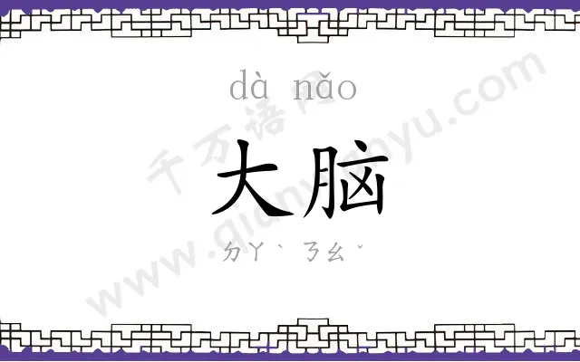 大脑 大脑