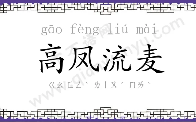 高凤流麦 高凤流麦