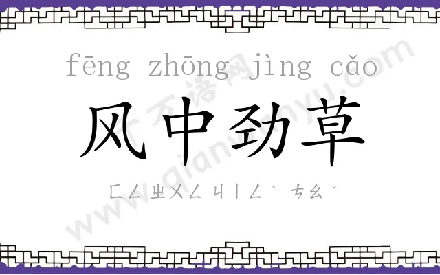 风中劲草 风中劲草