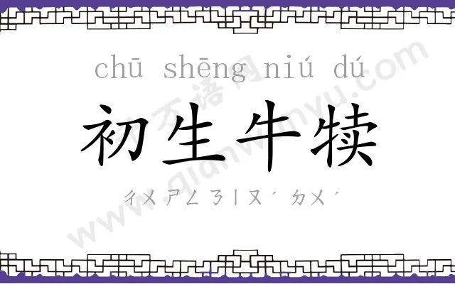 初生牛犊 初生牛犊