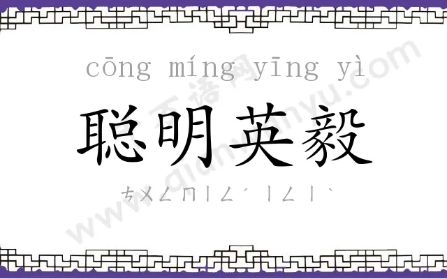聪明英毅 聪明英毅