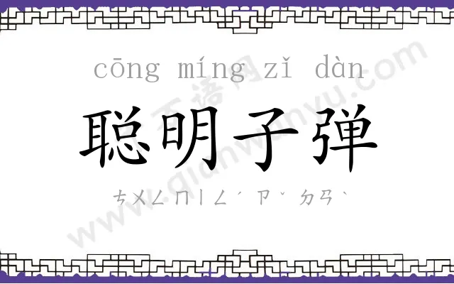 聪明子弹 聪明子弹