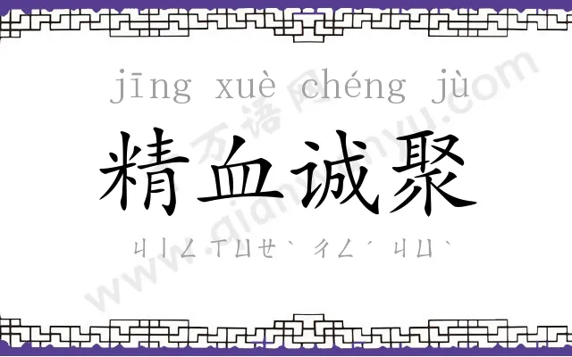 精血诚聚 精血诚聚