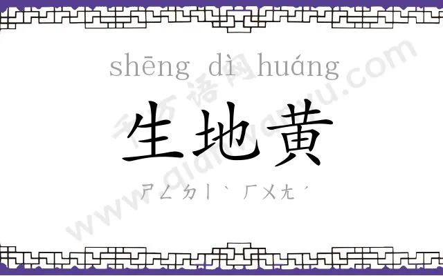 生地黄 生地黄