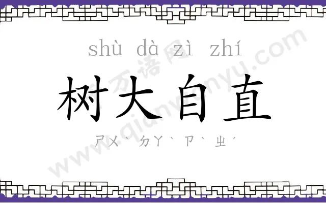 树大自直 树大自直