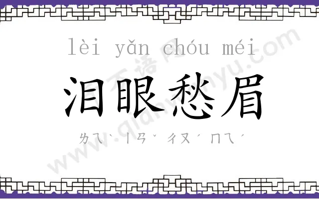 泪眼愁眉 泪眼愁眉