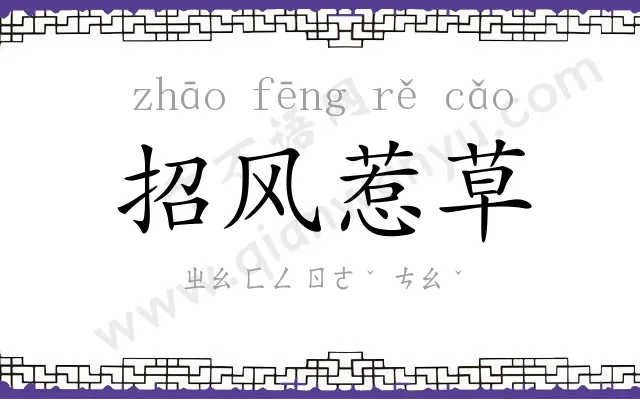 招风惹草 招风惹草