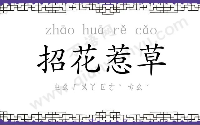 招花惹草 招花惹草