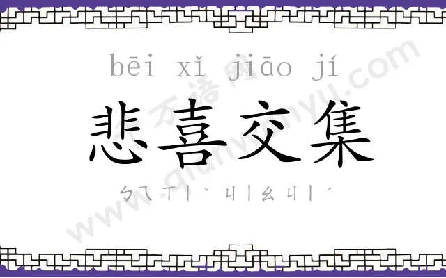 悲喜交集 悲喜交集