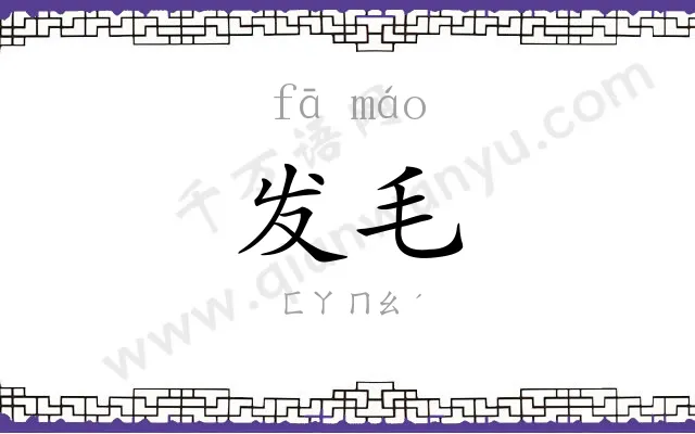 发毛 发毛