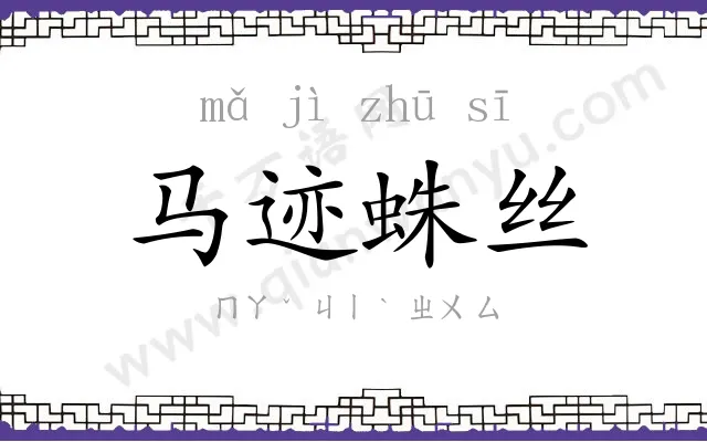 马迹蛛丝 马迹蛛丝