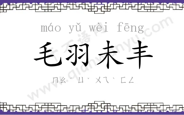 毛羽未丰 毛羽未丰