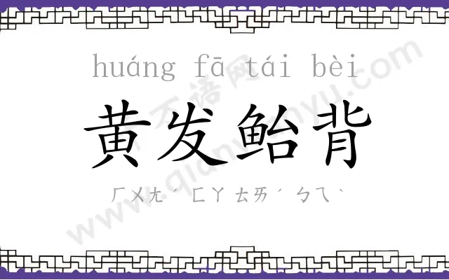 黄发鲐背 黄发鲐背