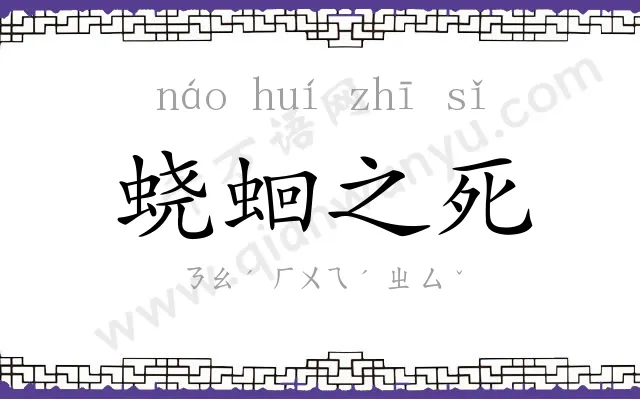 蛲蛔之死 蛲蛔之死