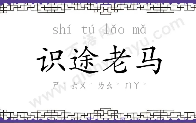 识途老马 识途老马