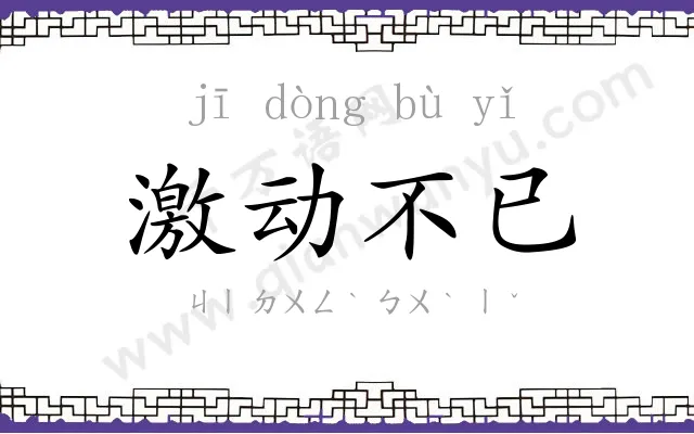 激动不已 激动不已