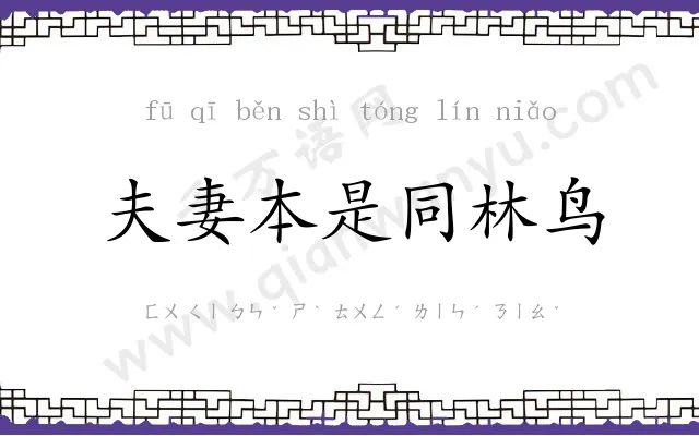 夫妻本是同林鸟 夫妻本是同林鸟