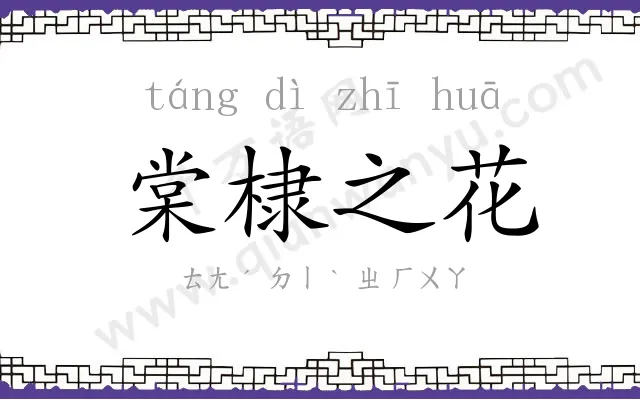 棠棣之花 棠棣之花