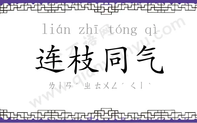 连枝同气 连枝同气