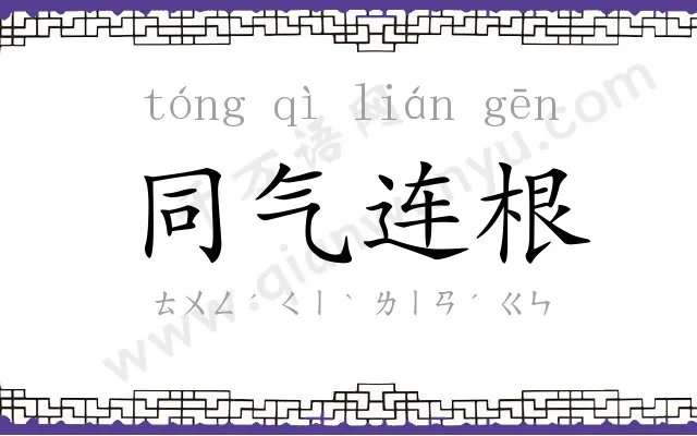 同气连根 同气连根