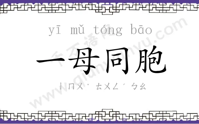 一母同胞 一母同胞
