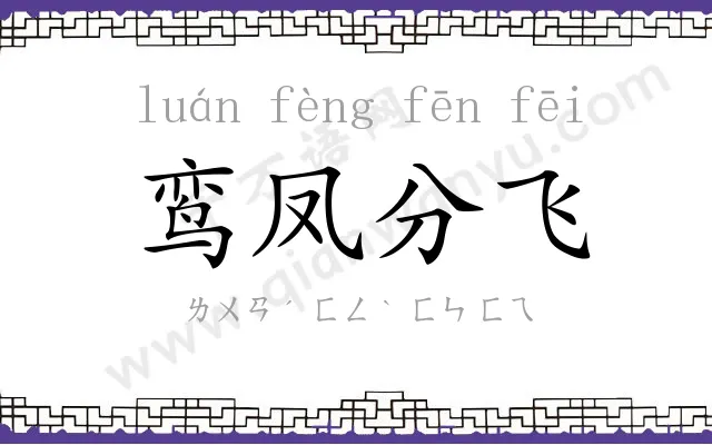 鸾凤分飞 鸾凤分飞