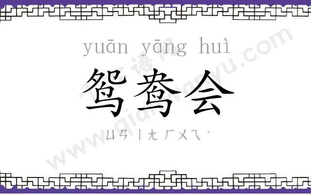 鸳鸯会 鸳鸯会