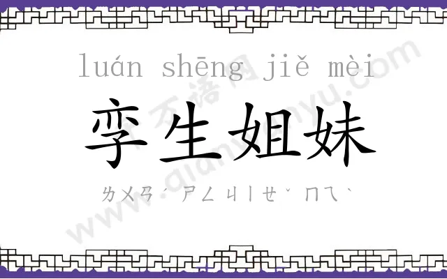 孪生姐妹 孪生姐妹