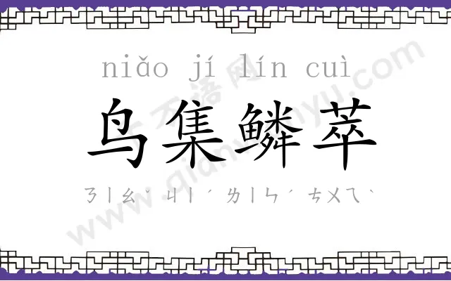 鸟集鳞萃 鸟集鳞萃