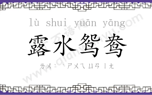 露水鸳鸯 露水鸳鸯