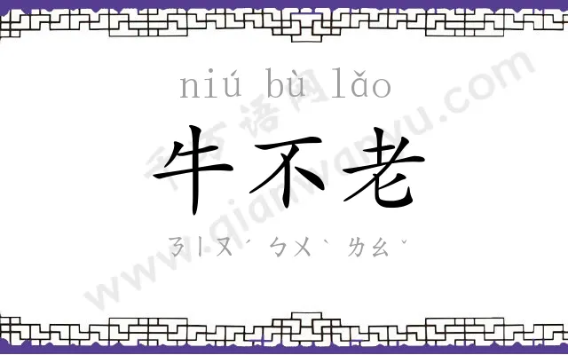 牛不老 牛不老